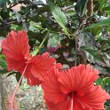 Picasa 2.7